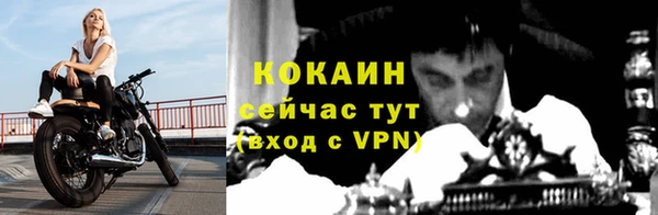 стаф Беломорск