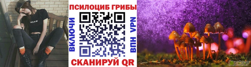 Псилоцибиновые грибы ЛСД  mega как зайти  Ясный 