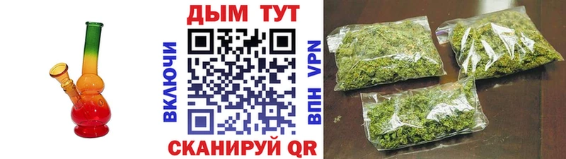 наркотики  Ясный  Каннабис марихуана 